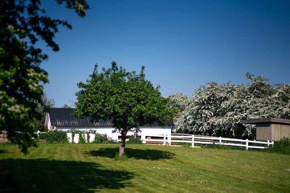 Herberg Den Gamle Graensekro